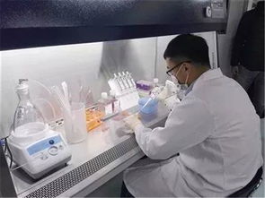 博隆基因 打造國(guó)家級(jí)基因工程抗體研究中心，助推生物科技研究邁上新臺(tái)階