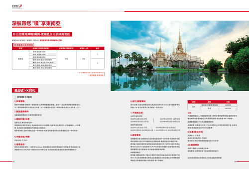 卓越體驗(yàn)，翱翔云端 航空公司產(chǎn)品手冊(cè)與網(wǎng)站設(shè)計(jì)的全方位技術(shù)咨詢(xún)方案